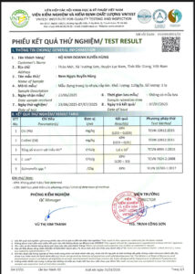 Nem Ngựa Xuyến Hùng giao hàng tại Hà Nội